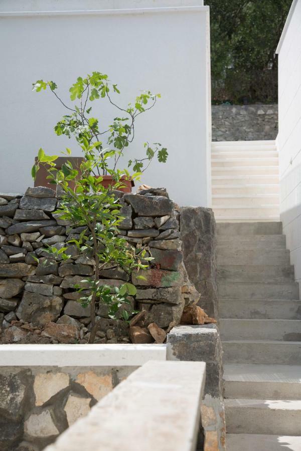 Vila Casa Blanca White House Donji Okrug  Exteriér fotografie